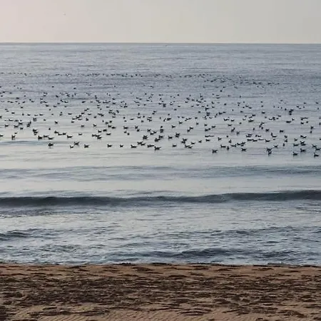 Apartmán Vilasuites Beach, & Menta Villajoyosa